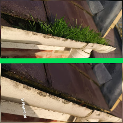 profile picture of Pro Gutter Cleaning