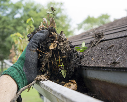 profile picture of Hampshire And Dorset Guttering Maintenance profile picture