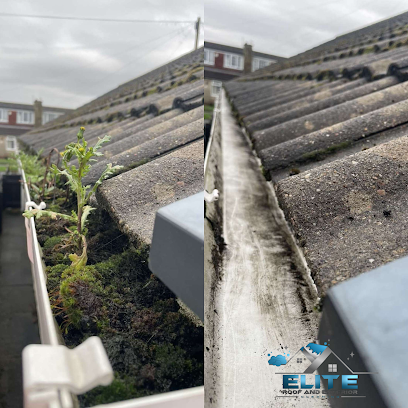 profile picture of Elite roof and exterior cleaning profile picture