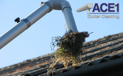 profile picture of Ace1 Gutter Cleaning