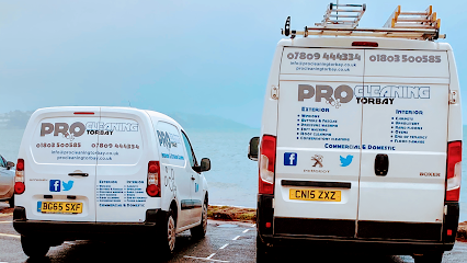 Pro Cleaning Torbay