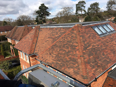 profile picture of The Roof Moss Cleaners Ltd