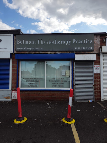 profile picture of Belmont Physiotherapy Practice profile picture