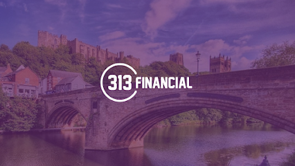 313 Financial Ltd