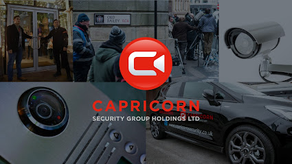 profile picture of Capricorn Security profile picture