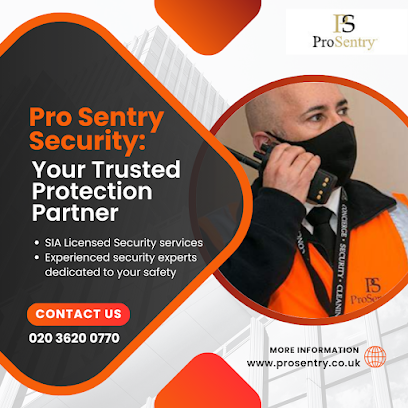 Pro Sentry Ltd