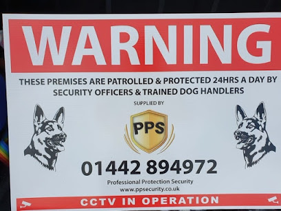 profile picture of Professional Protection Security profile picture