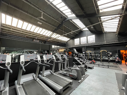 profile picture of Kings Gym - Croydon