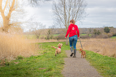 profile picture of We Love Pets Epsom - Dog Walker, Pet Sitter & Home Boarder profile picture