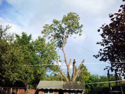 profile picture of Darwin Tree Services