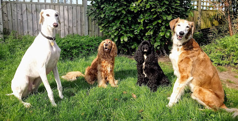 profile picture of Wagging Tails Dog Training (South London)