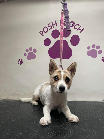 profile picture of Posh Pooch Mobile Dog Grooming