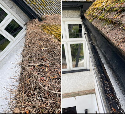 profile picture of All Seasons Gutter Cleaning