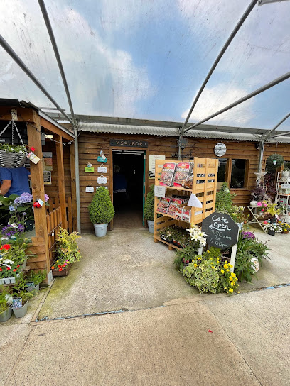 profile picture of Ystrad Nursery, Agricultural Supplies & Cafe