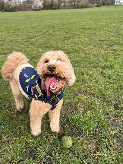 profile picture of The Greenwich Dog Club profile picture