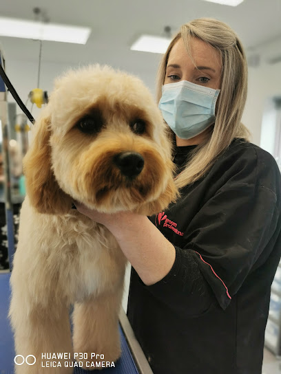 profile picture of Michael Shiels Academy @ Bark N Beauty Spa Dog Grooming School profile picture