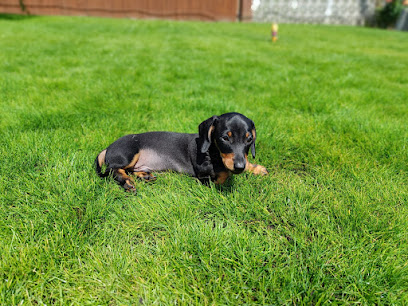 profile picture of Paws in Nature profile picture