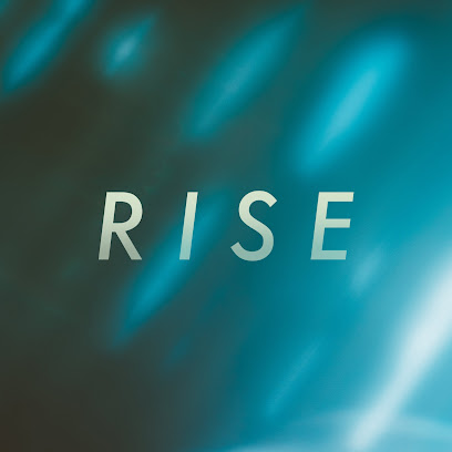 profile picture of Rise Film profile picture