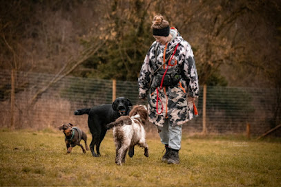 profile picture of Abbie’s Dog Walking