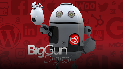 profile picture of Big Gun Digital profile picture