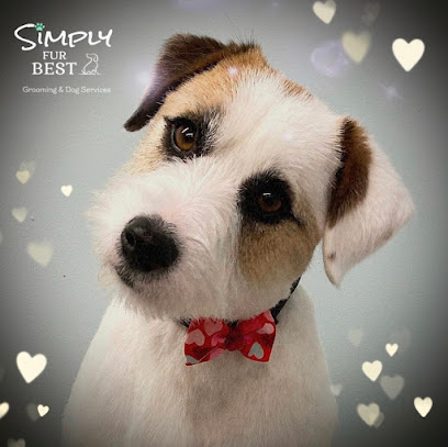 profile picture of Simply Fur Best Grooming & Dog Services profile picture