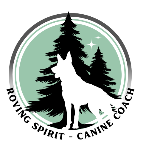 profile picture of Roving Spirit Canine Coach profile picture