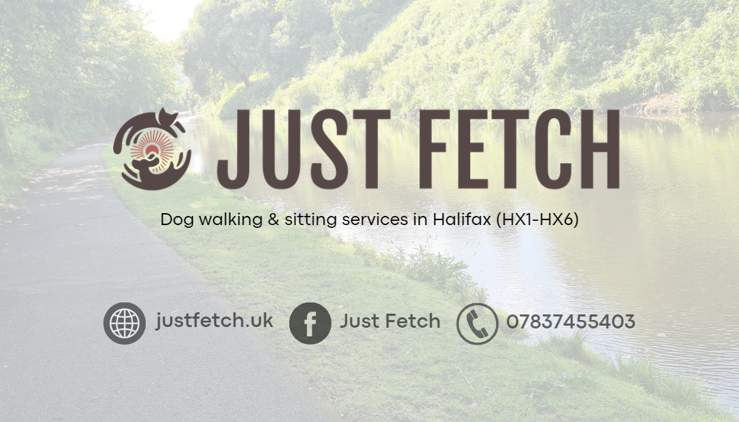 profile picture of Just Fetch profile picture