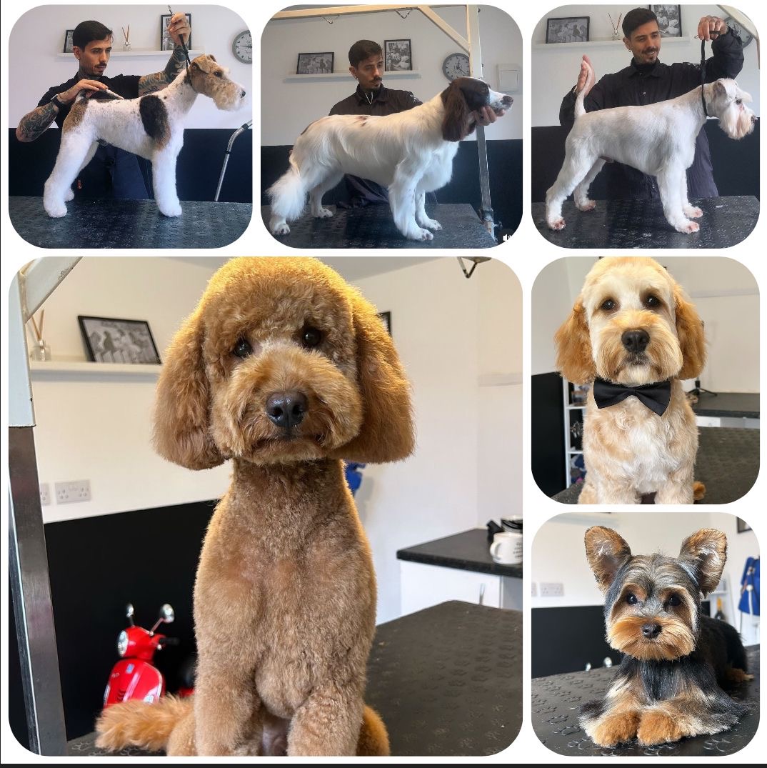 profile picture of Pawfect Cuts