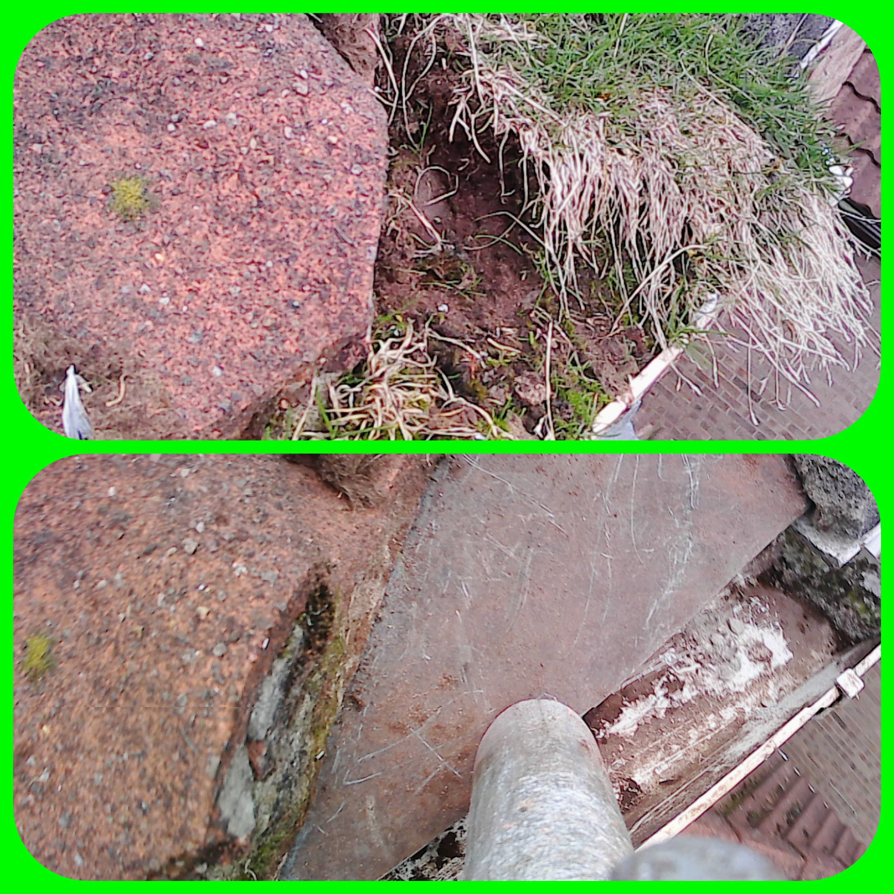 profile picture of Well Done!Cleaning & Maintenance-Exterior Cleaning in Yorkshire