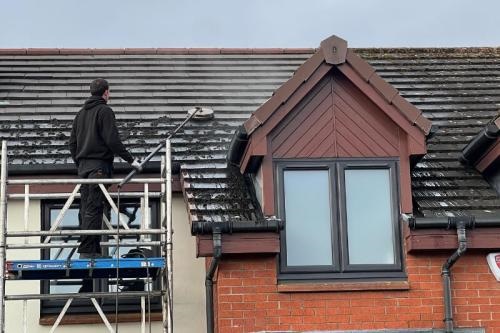 profile picture of BDS Pro Clean