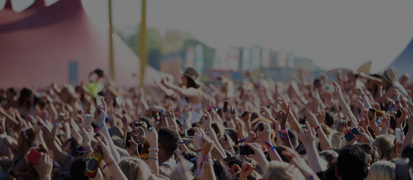 profile picture of Swift Stamp