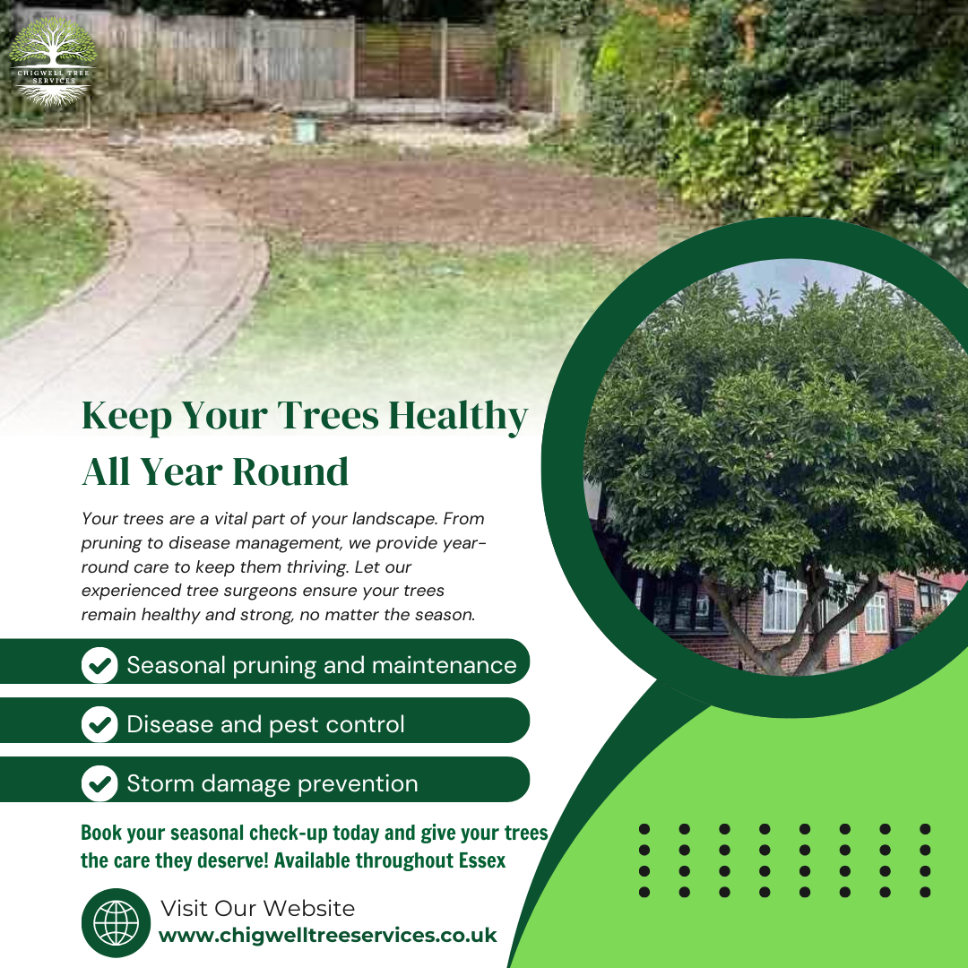 profile picture of Chigwell Tree Services
