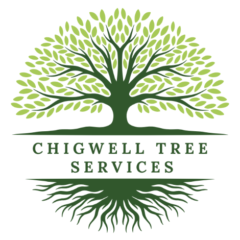 profile picture of Chigwell Tree Services profile picture