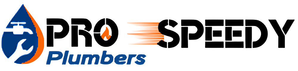 profile picture of Pro Speedy Plumbers profile picture