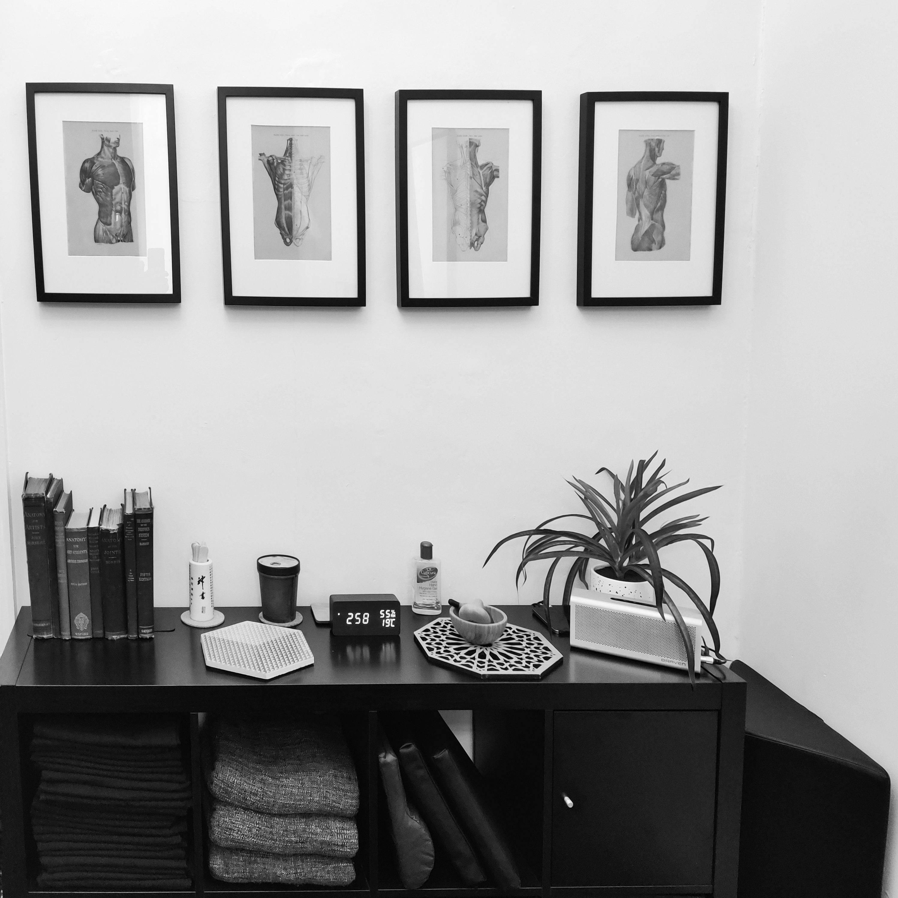 profile picture of The Massage Rebel