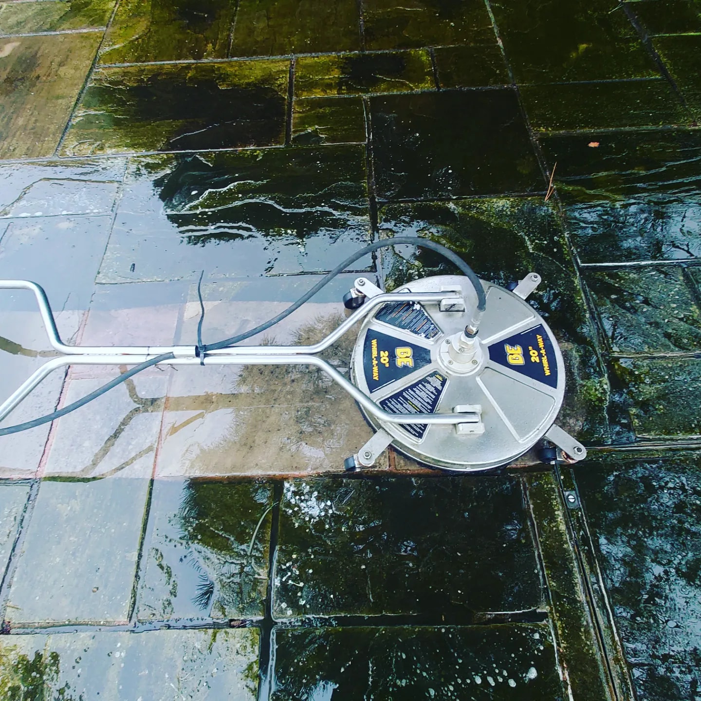 profile picture of Penguin Exterior Cleaning