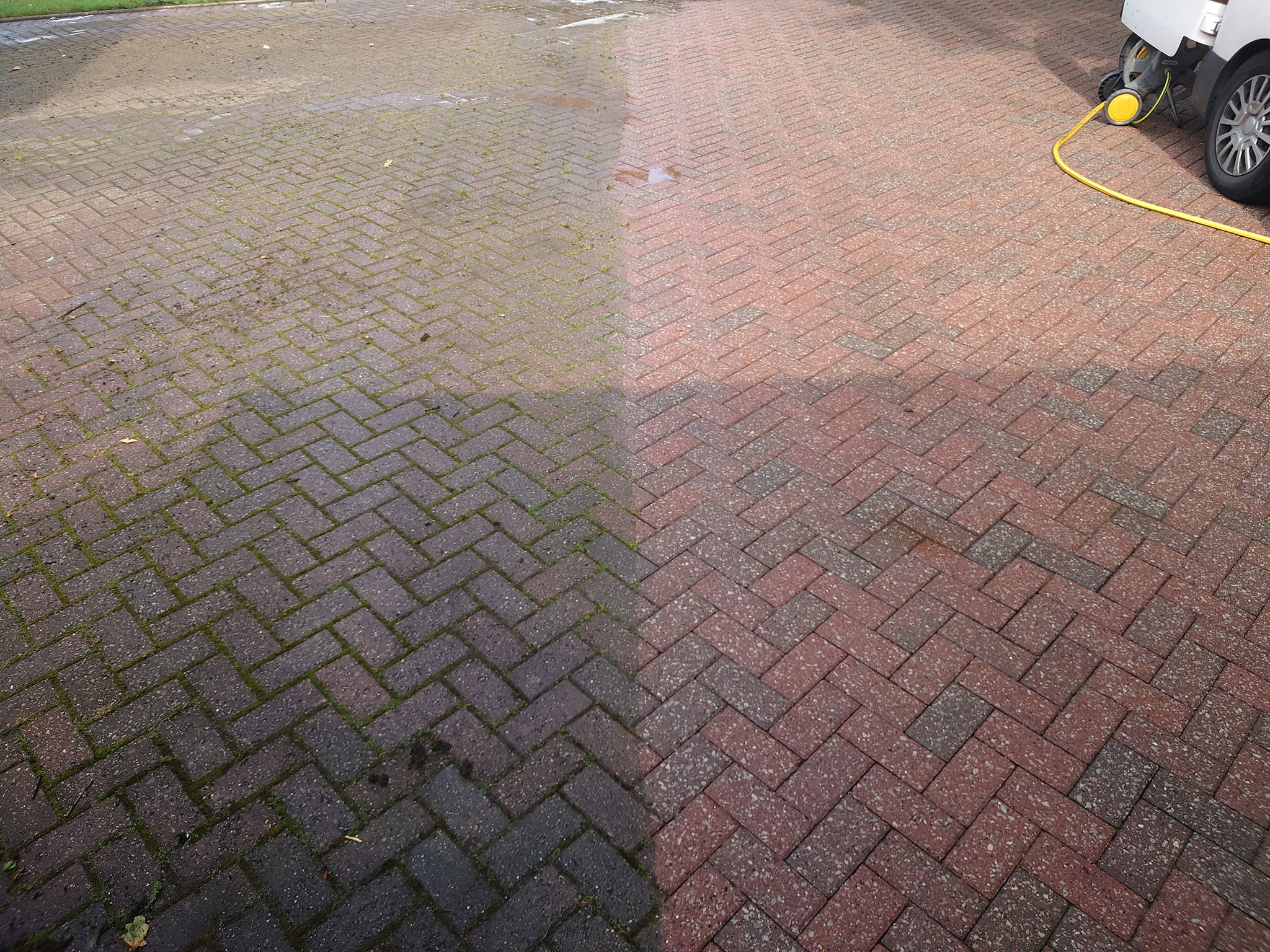 profile picture of Penguin Exterior Cleaning profile picture