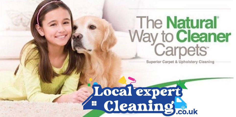 profile picture of local expert cleaning profile picture