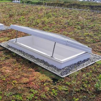 profile picture of Skyseal