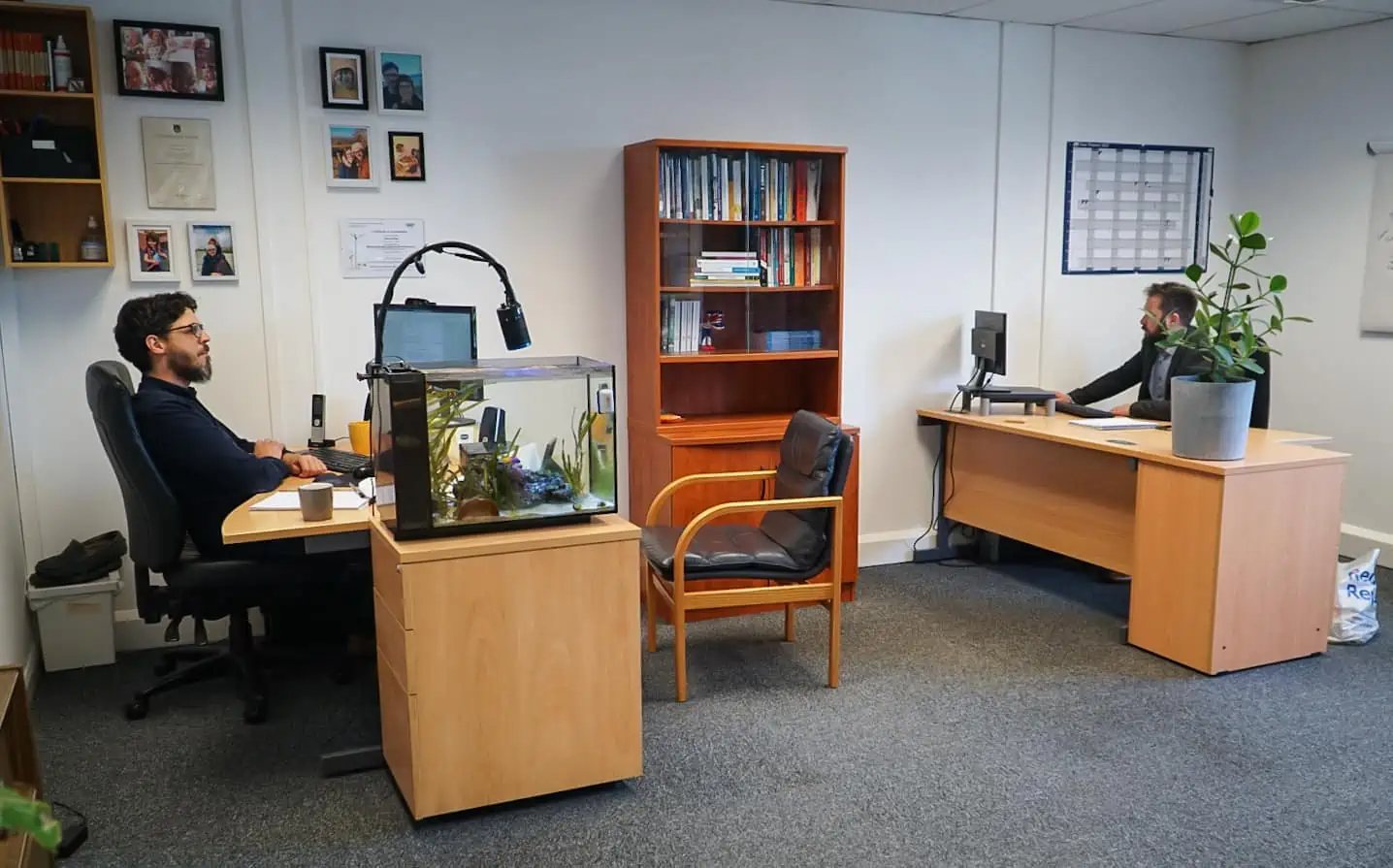 profile picture of CBT Bristol | National Outreach Service for Anxiety