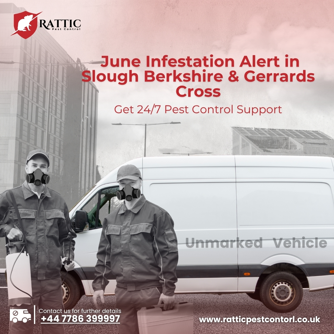 profile picture of Rattic Pest Control profile picture