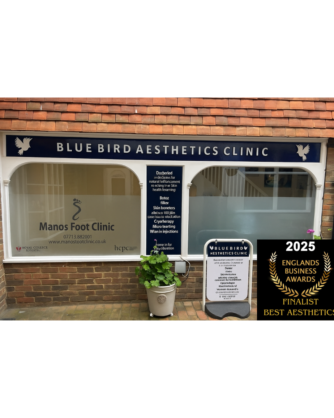 profile picture of Blue Bird Aesthetics Ltd profile picture