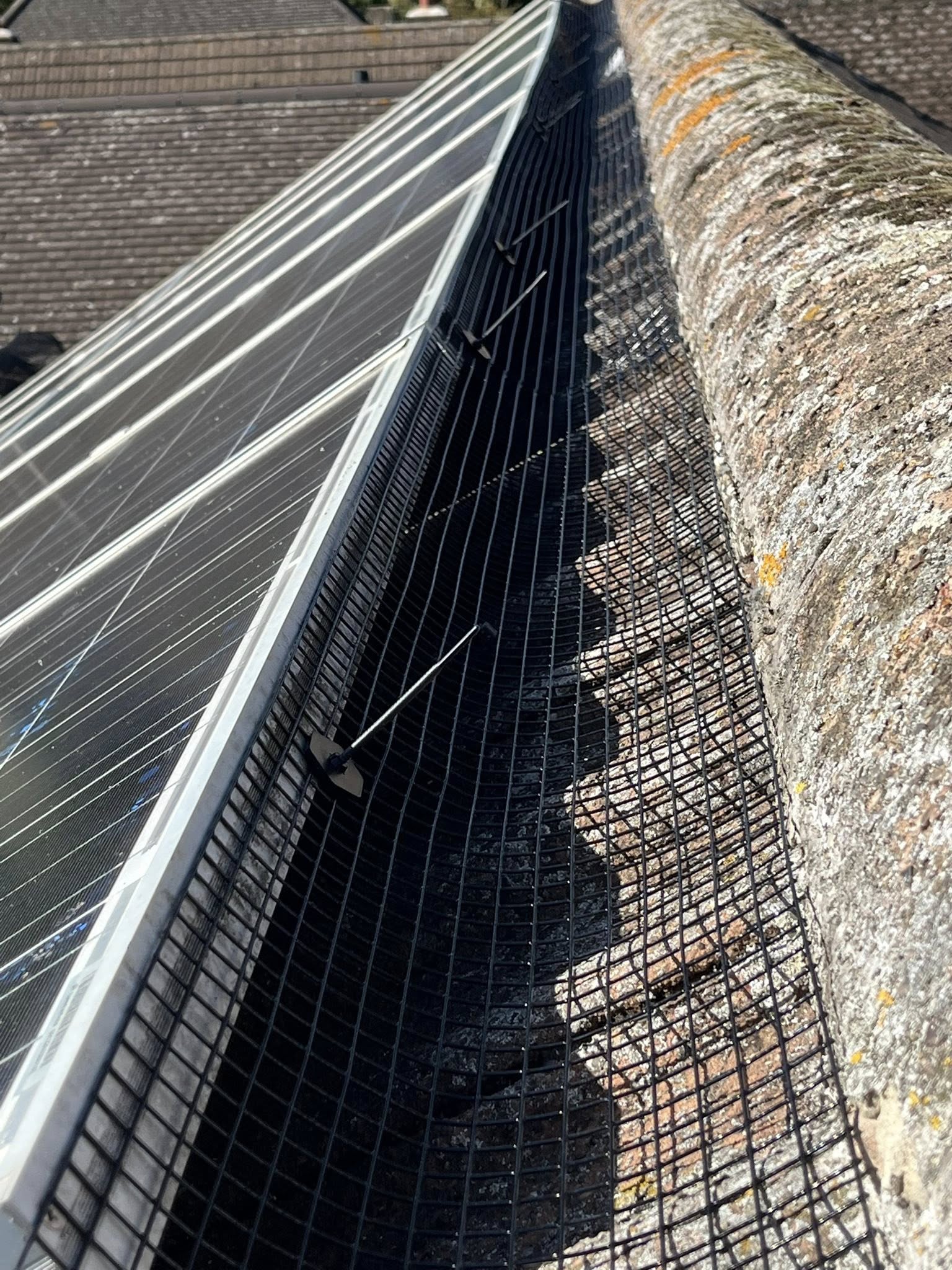 profile picture of Nest Defend