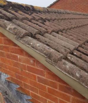 profile picture of CMW Roofing & Renovations