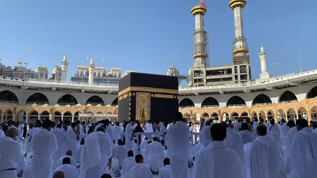 profile picture of SAFA TRAVEL