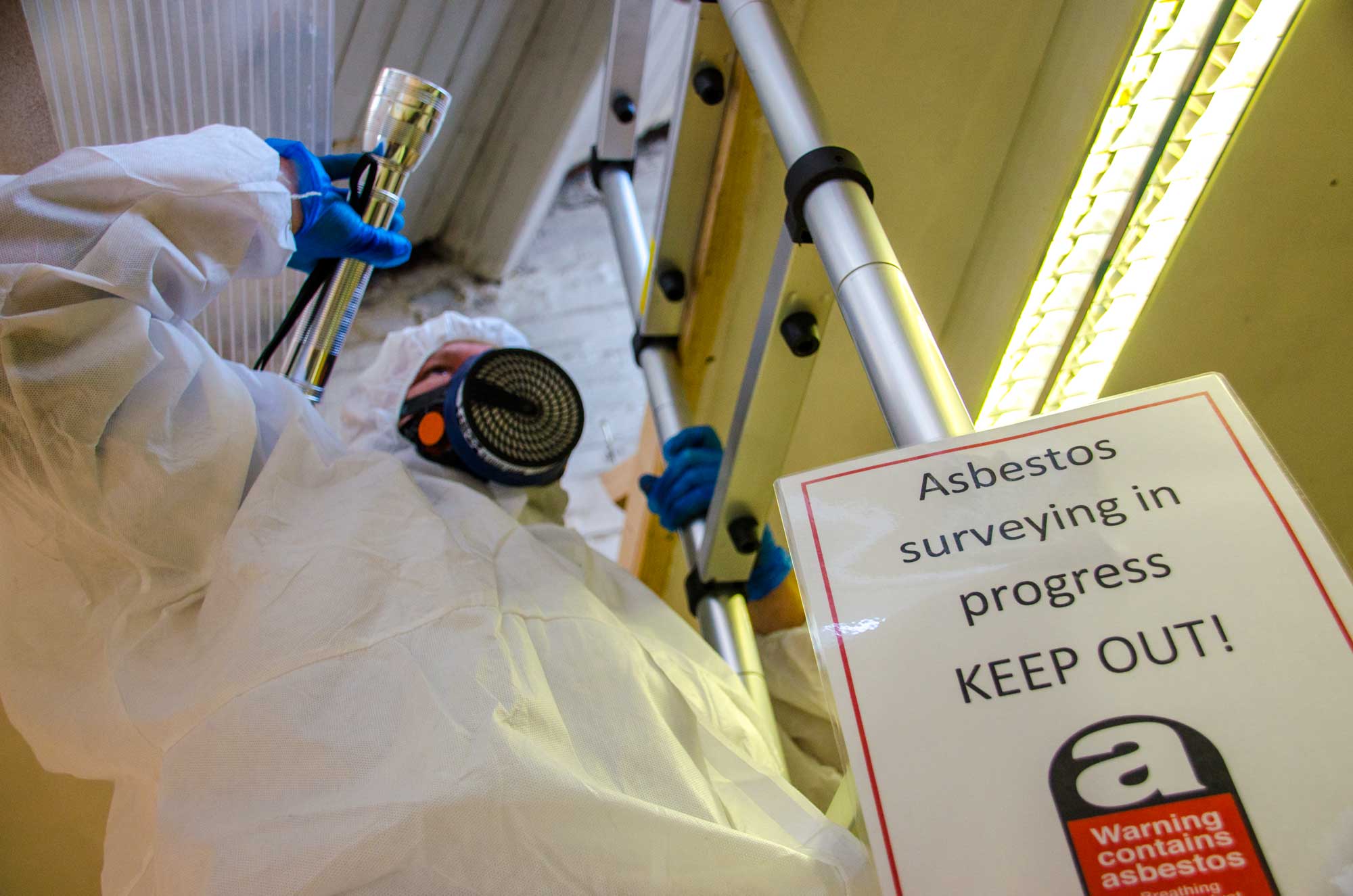 profile picture of Complete Asbestos Surveys