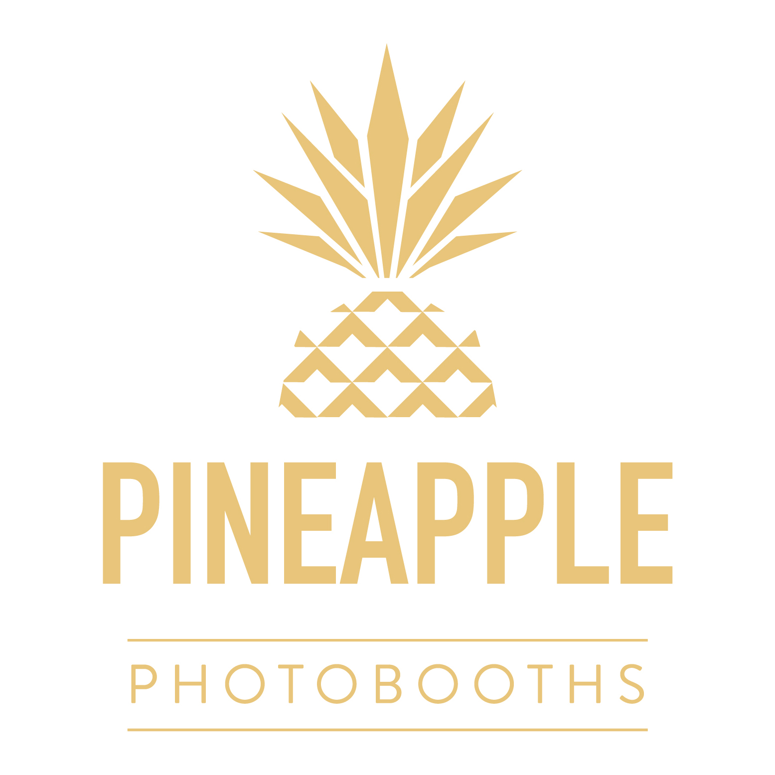 profile picture of Pineapple Photo Booths profile picture