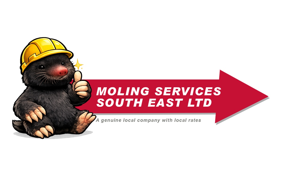 profile picture of Moling Services South East