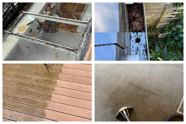 profile picture of Cleaner Squad profile picture