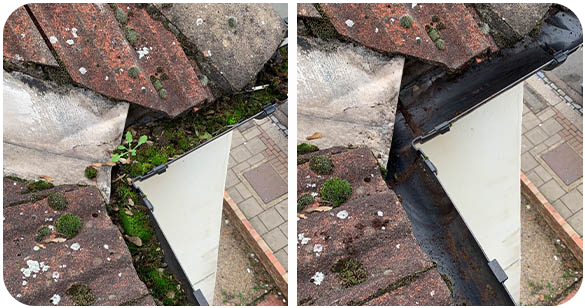 profile picture of Cleaner Squad